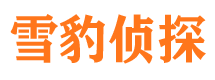 攸县市侦探公司